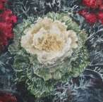 <h5>Cabbage Rose, 10x10</h5>