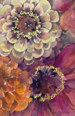 <h5>Zinnia Pinks, 7x13, giclee print available</h5>